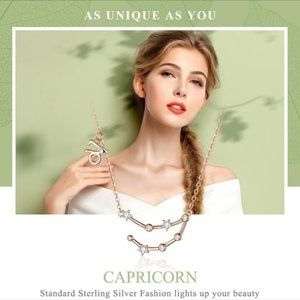 CAPRICORN SILVER & DIAMOND CONSTELLATION NECKLACE